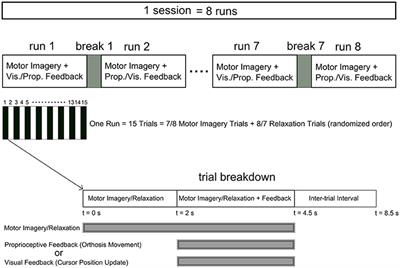 Proprioceptive Feedback Facilitates Motor Imagery-Related Operant Learning of Sensorimotor β-Band Modulation